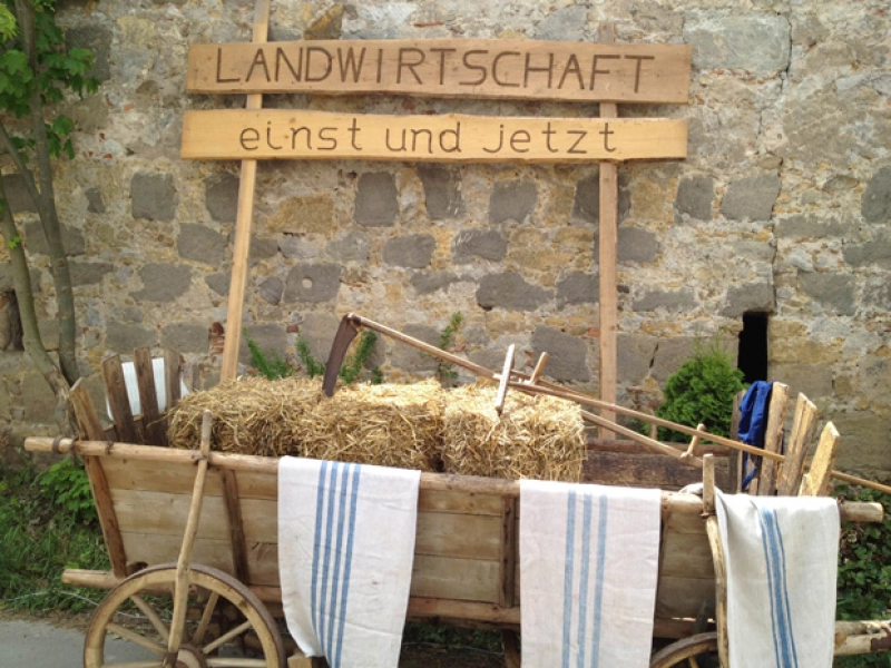 Markttag 2012