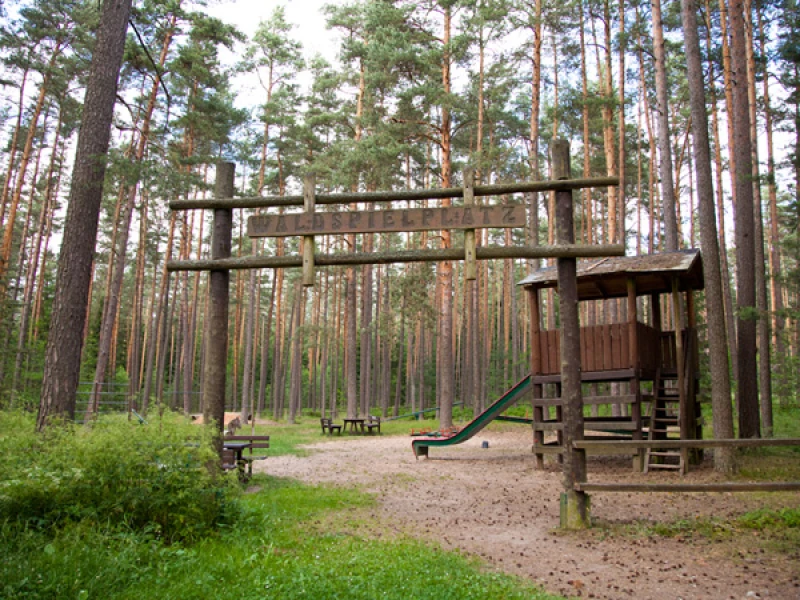 Waldspielplatz mit Holz-Klettergerüst, Rutsche und Sitzbank zwischen Kiefern